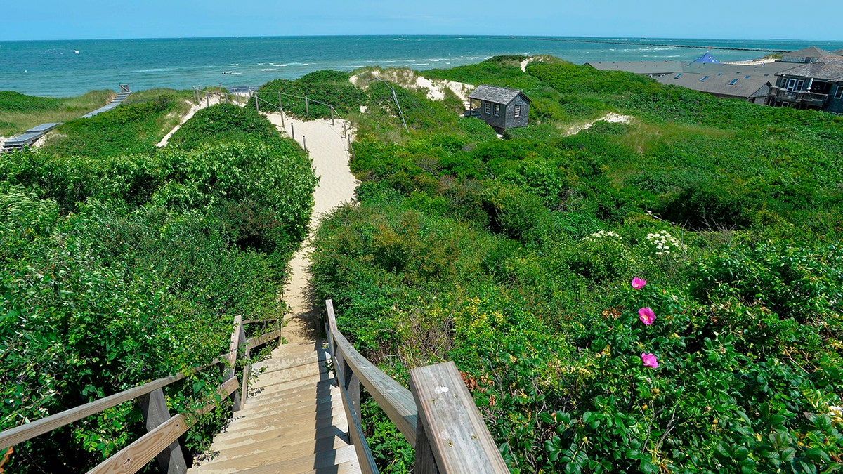View of beach walk in Nantucket