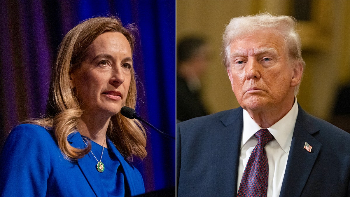A split image of Mikie Sherrill and Donald Trump