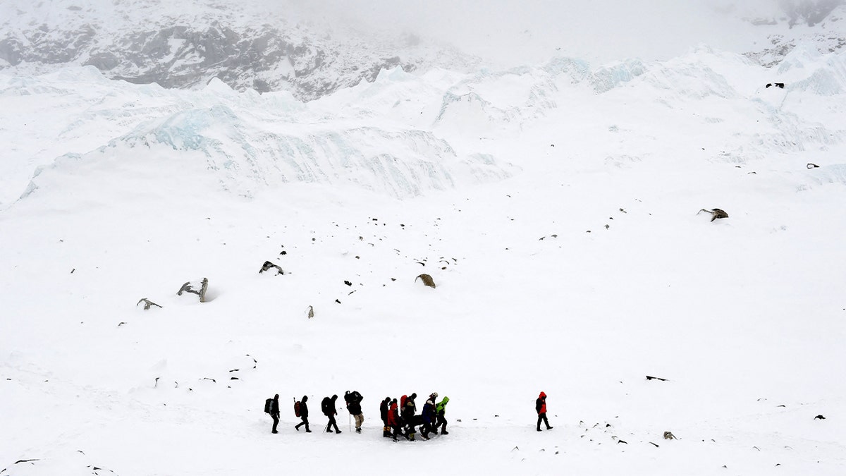 Mount Everest Rescue