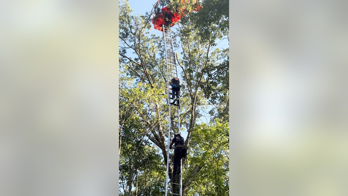 Nashville skydiving instructor dead after falling without parachute