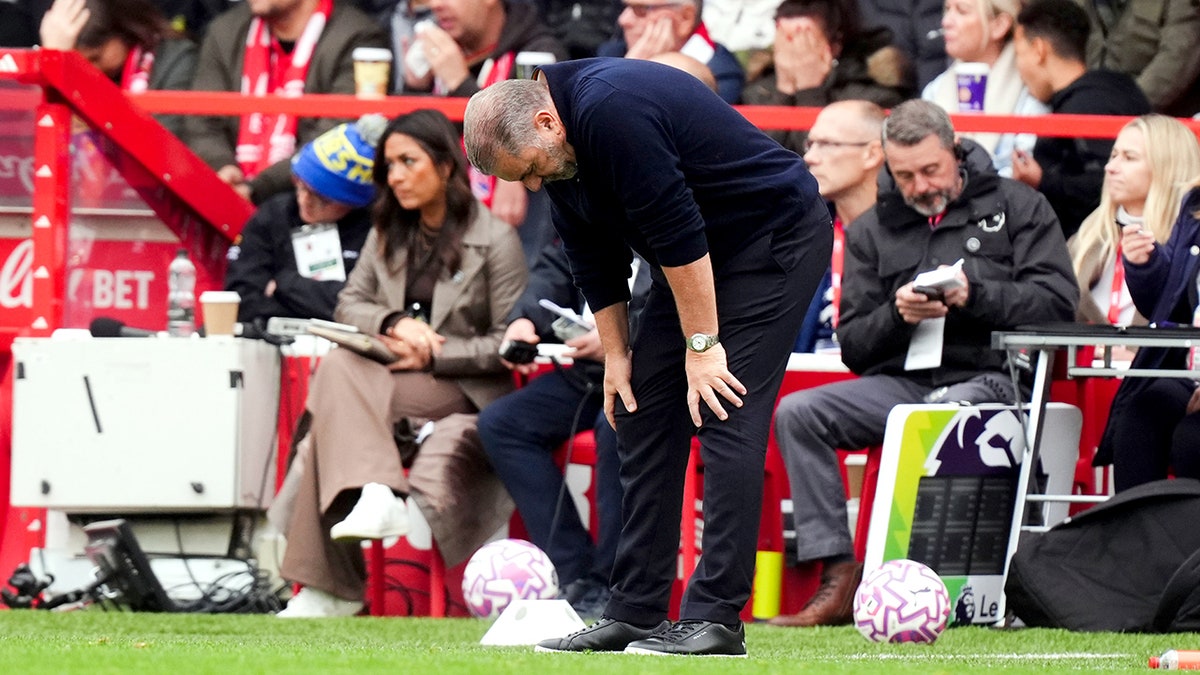 Ange Postecoglou reacts to goal