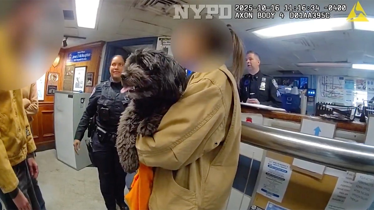 Seekor anjing hilang bernama Moose telah kembali dengan selamat ke rumah setelah penyelamatan dramatis oleh petugas Departemen Kepolisian New York di bawah rel kereta bawah tanah di Manhattan.
