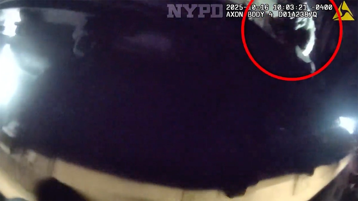 Seekor anjing hilang bernama Moose telah kembali dengan selamat ke rumah setelah penyelamatan dramatis oleh petugas Departemen Kepolisian New York di bawah rel kereta bawah tanah di Manhattan.