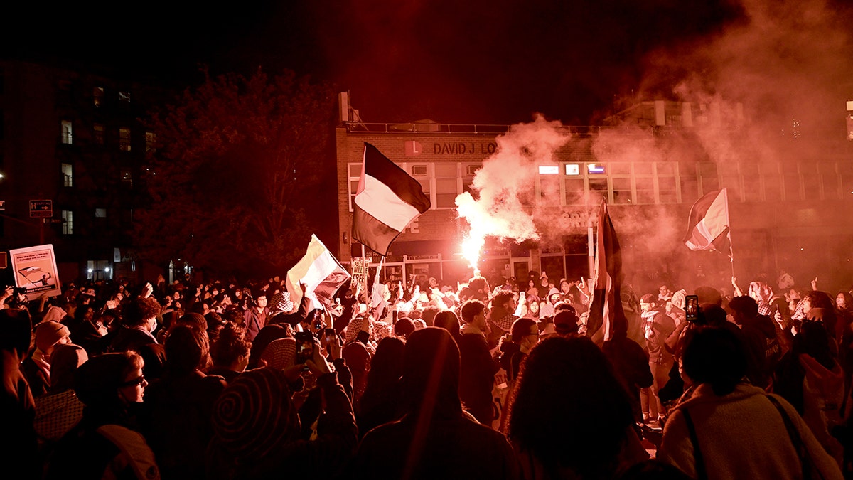 NYU pro-Palestine protest that took place in 2024.