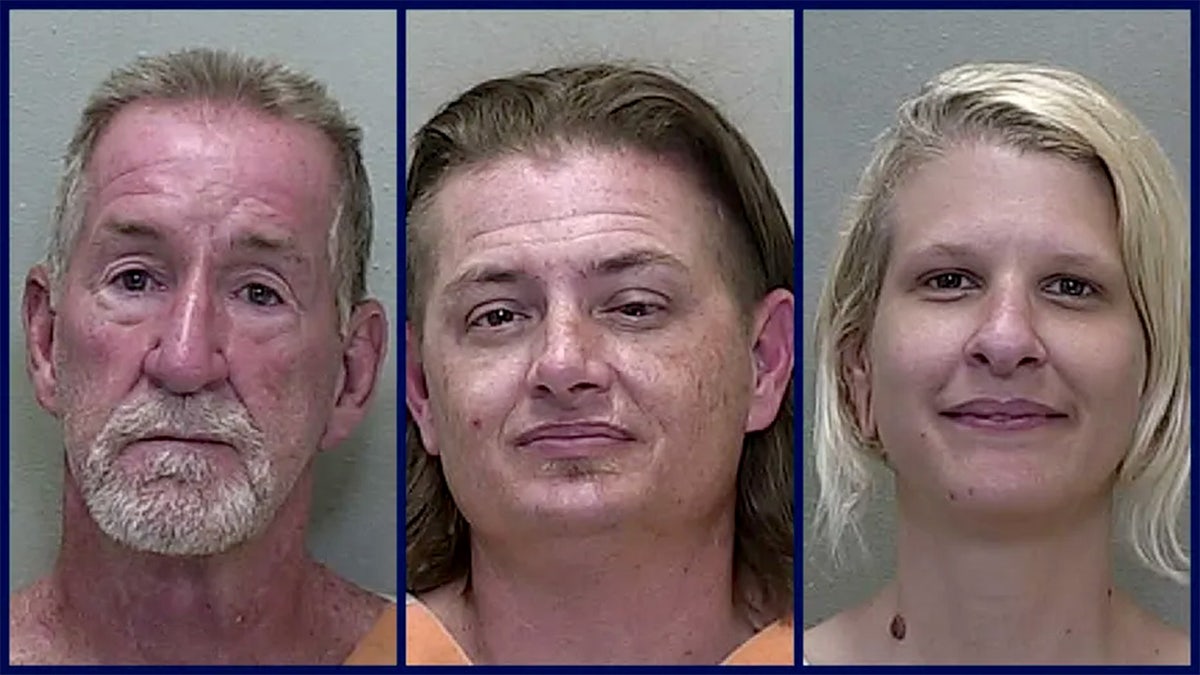 Booking photos of Stephen Libardoni, Michael Loren and Alexandra Krolman following their arrests at a No Kings demonstration in Ocala, Florida on June 14. 
