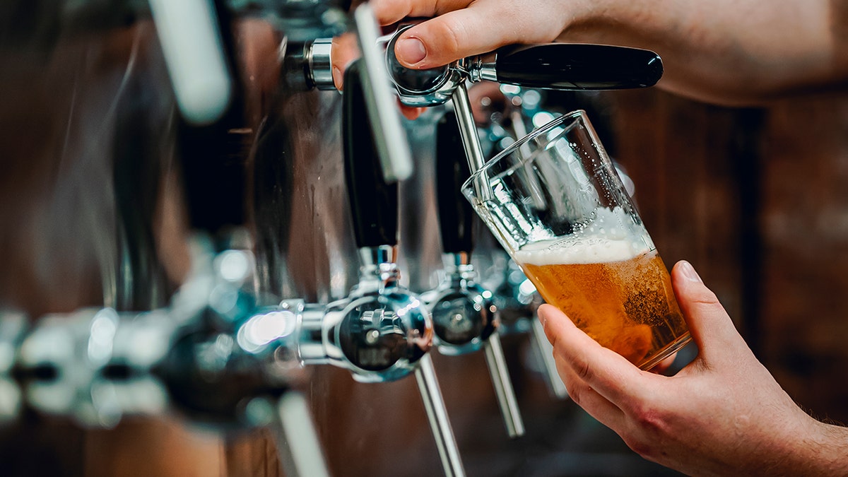 Bartender filling up beer mug
