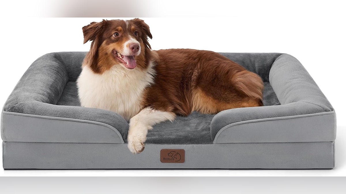 Melhor para: Donos de animais de estimação que desejam uma cama para cachorro fácil de limpar