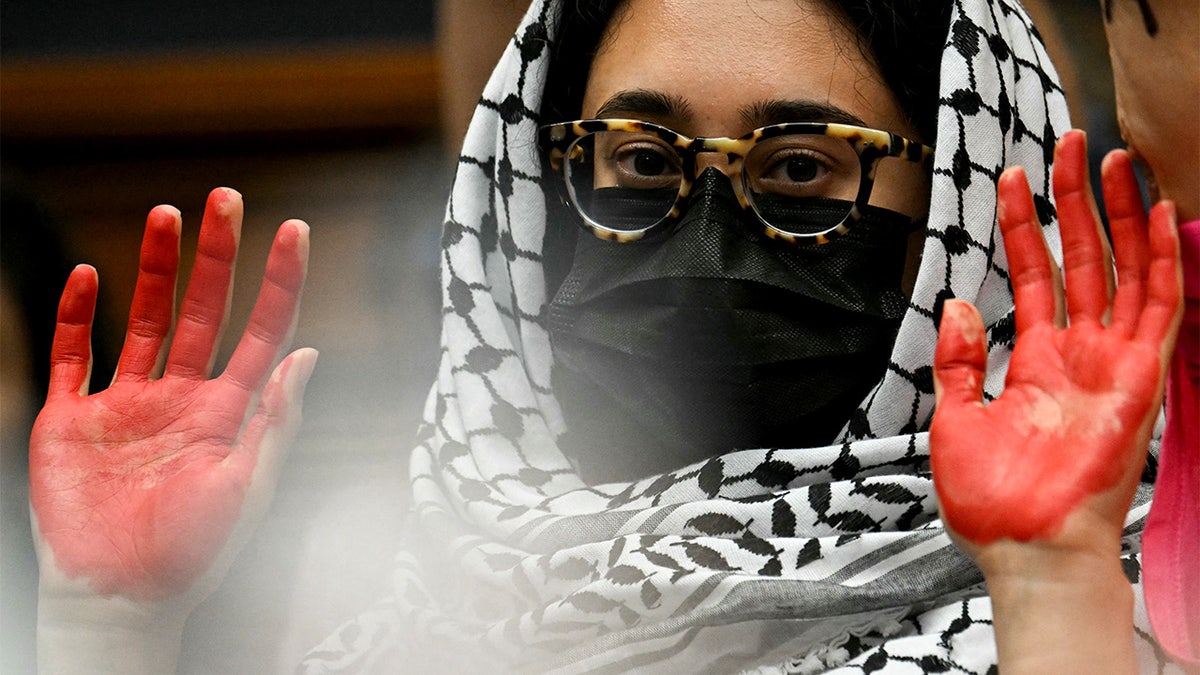 Pro-Palestinian demonstrator