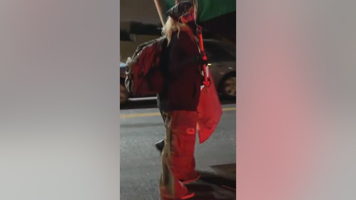 Person holding flag with backpack standing in the road