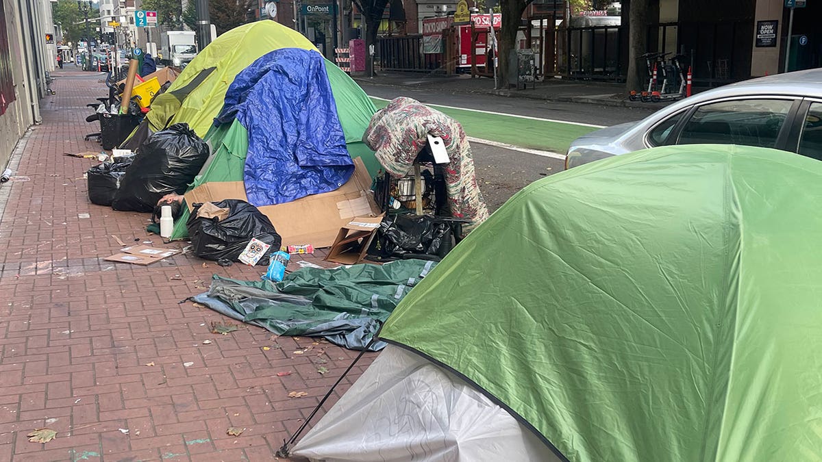 Portland's sidewalks are teeming with the tents of homeless drug addicts.