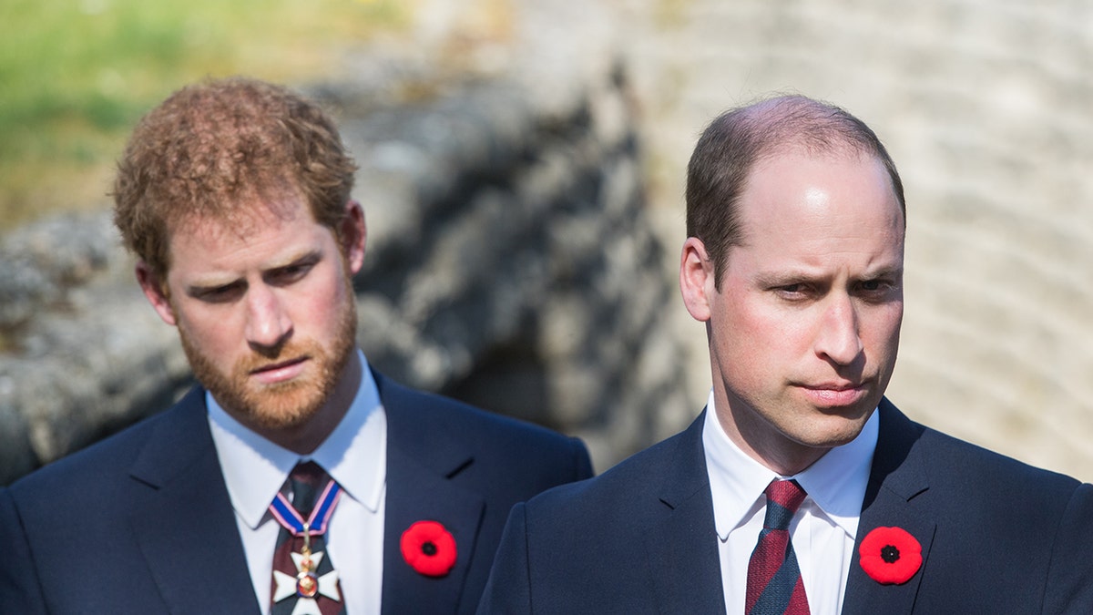 Prince William and Prince Harry looking downcast in matching blue suits with a red poppy pin.