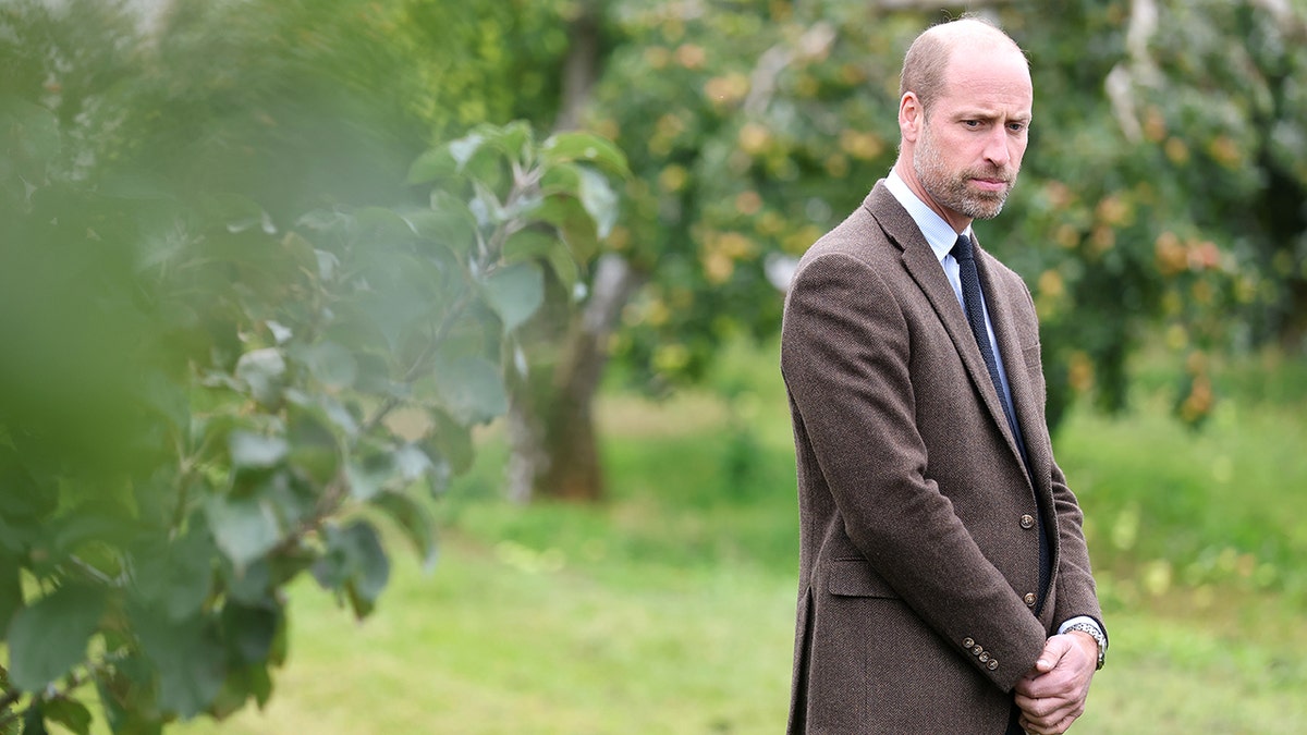 Prince William in a brown suit standing in an orchard surrounded by apple trees.