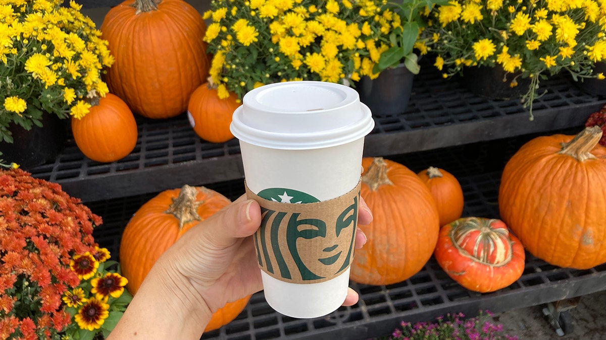 Person's hand seen holding hot Starbucks drink in front of background of pumpkins and fall flowers.