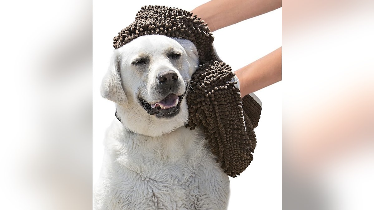 Melhor para: Proprietários de cães que viajam ou acampam com animais de estimação