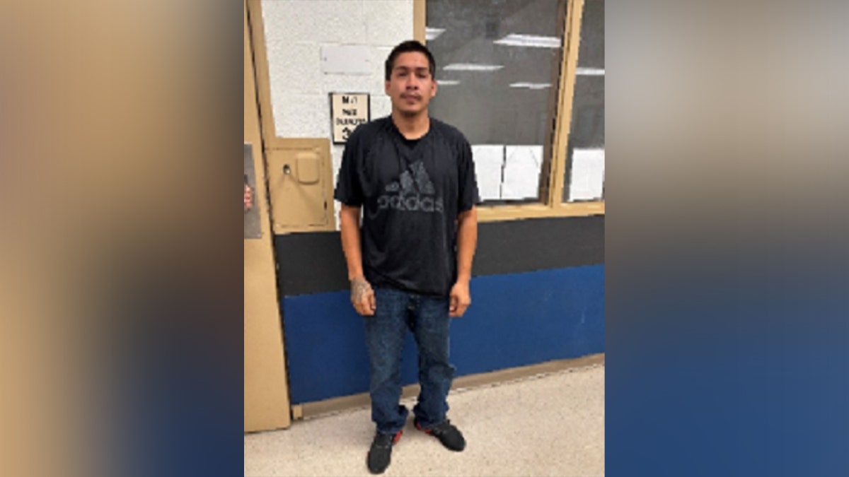 Rafael Alberto Tolentino Martinez, an illegal alien from Mexico, was convicted of aggravated domestic battery against a 3-year-old child.