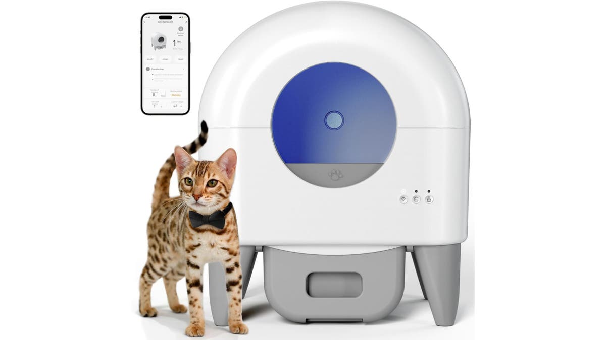 This self-cleaning litter box can be controlled remotely via an app.