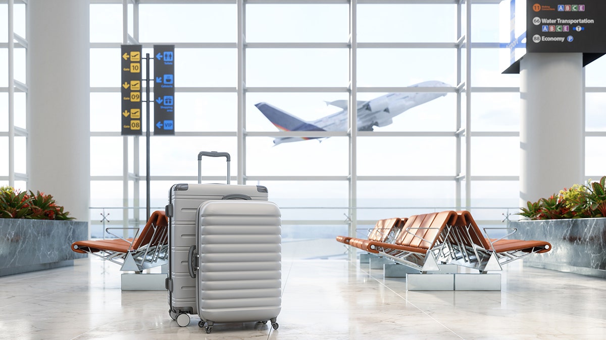 Suitcases in an airport terminal with a plane taking off through the window.