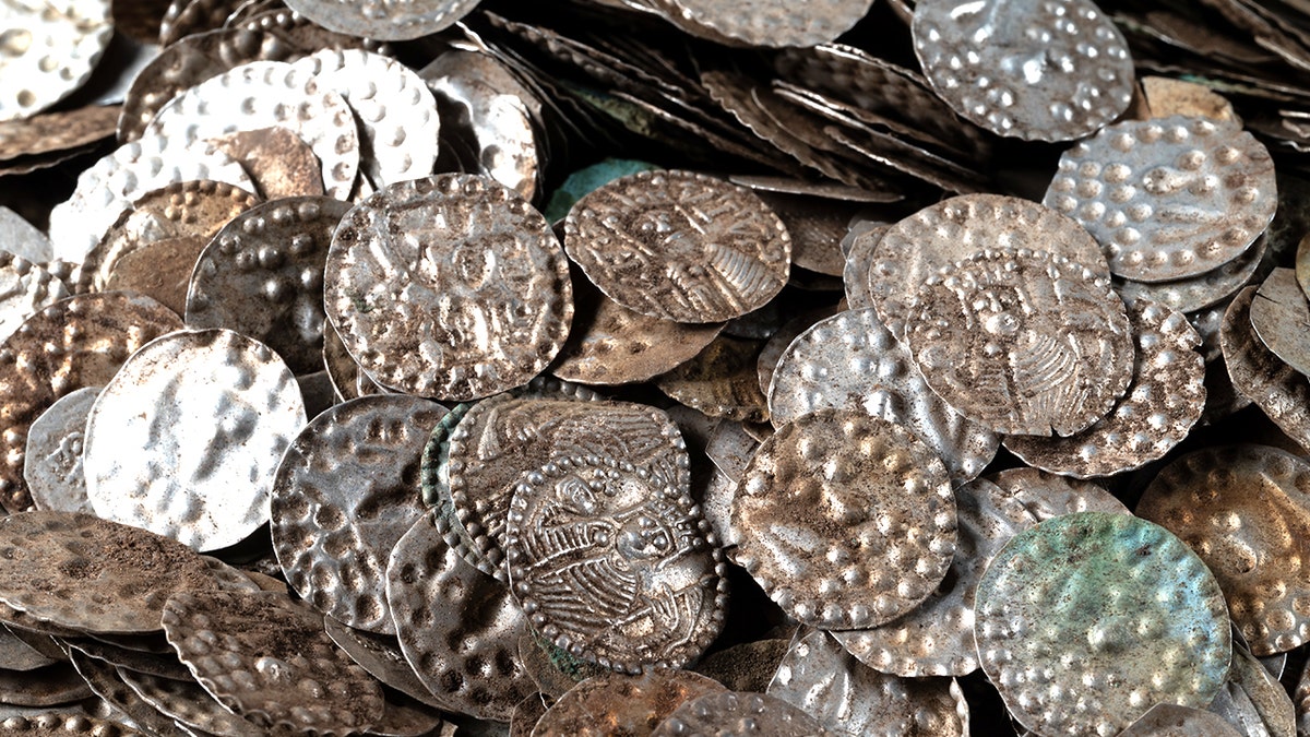 Sweden fisher finds nearly 20,000 medieval coins in ancient treasure hoard 3 Display of coin hoard