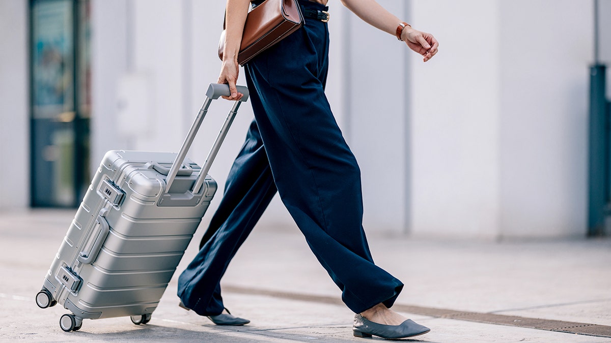 Deadly mosquito-borne virus sparks CDC travel alert — could it reach the US?