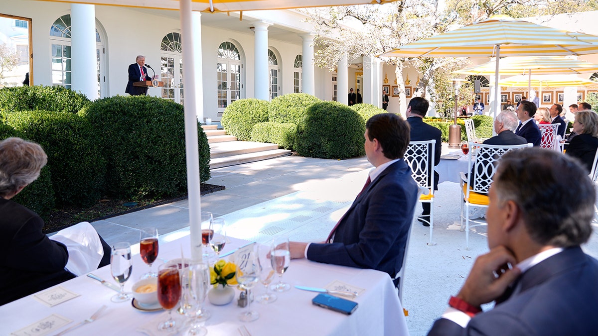 Los senadores observan mientras Trump pronuncia su discurso en el Jardín de las Rosas