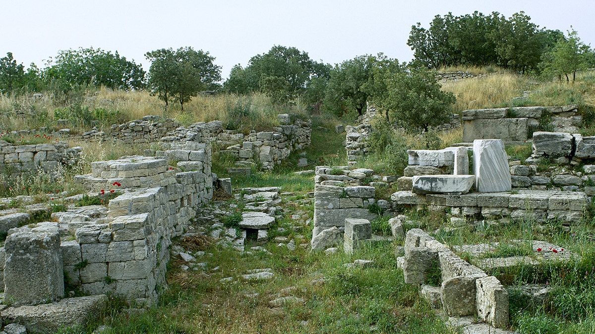 Trees, stones at site of ancient Troy