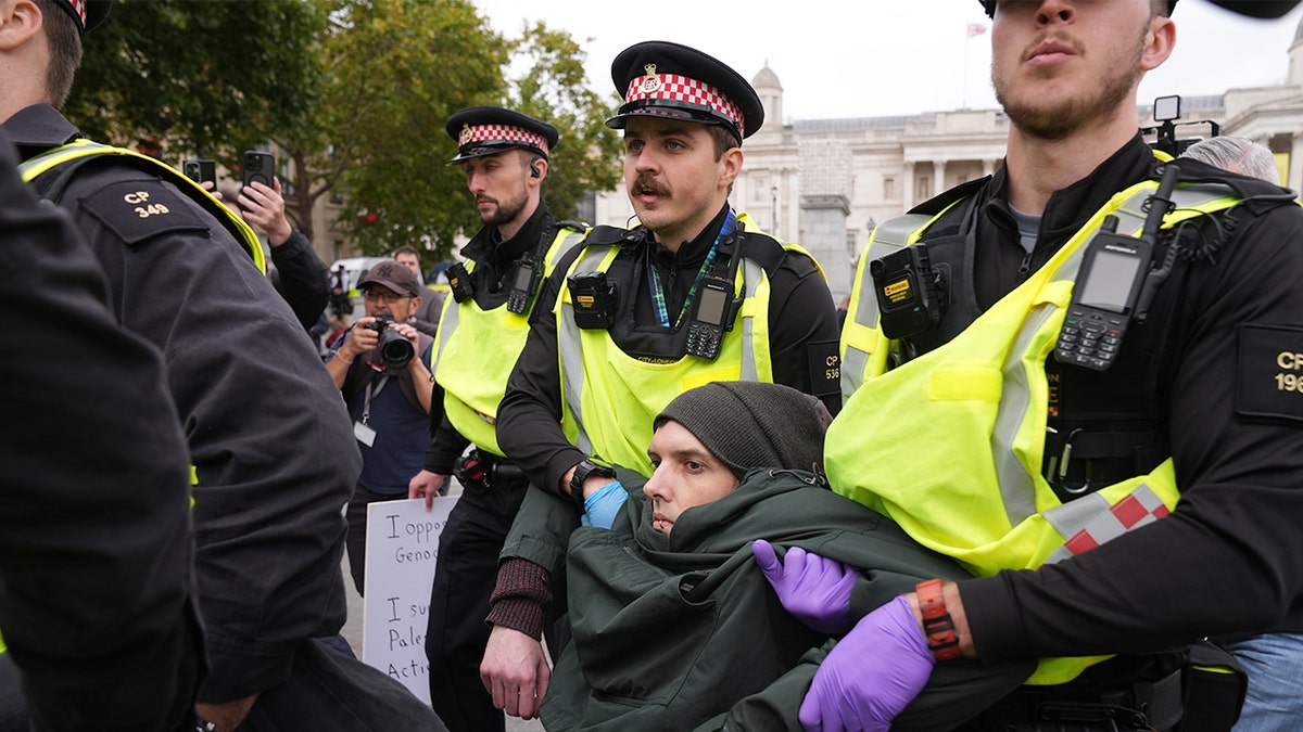 Metropolitan Police aresztuje protestującego w Londynie