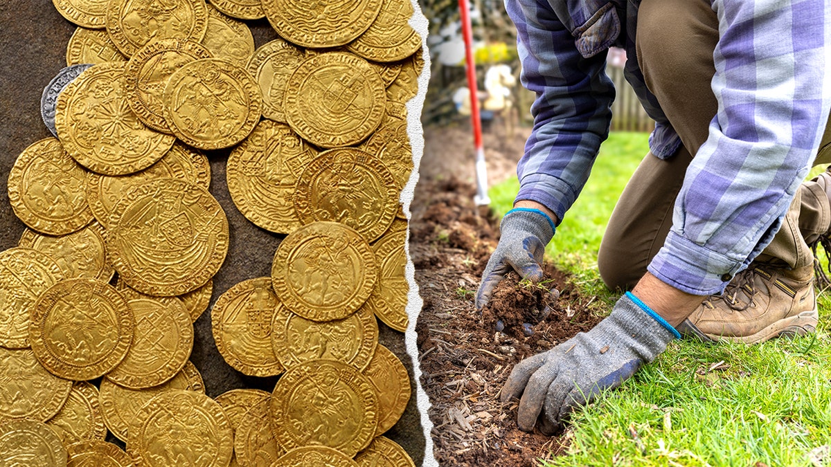 Split image of gold coins, stock photo of gardener
