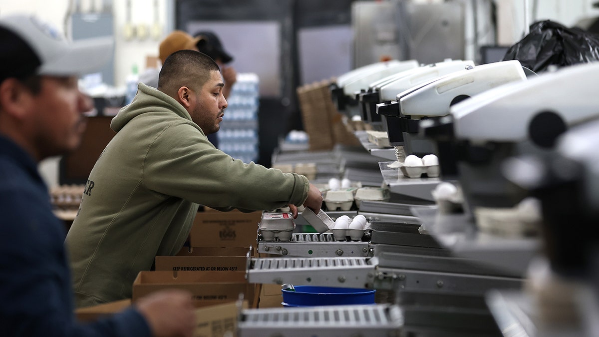 California poultry farm operations