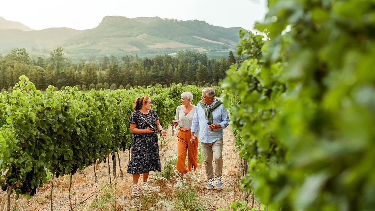 Husband and wife enjoying a day on the farm while talking to owner of wine farm in summer