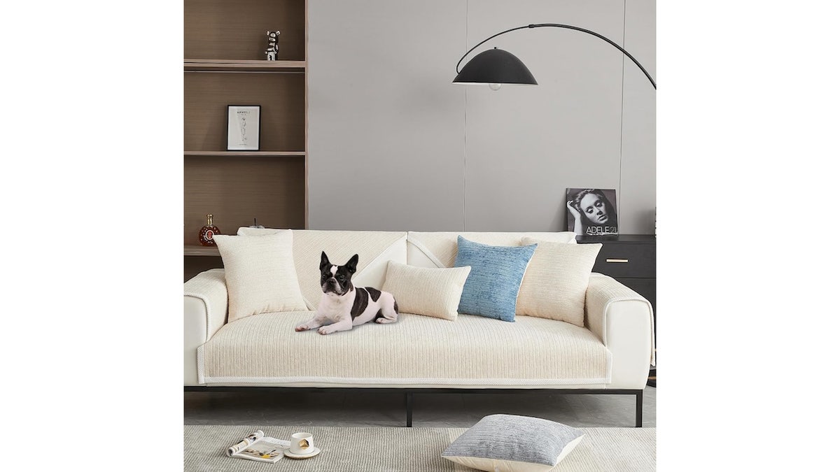 Protect your couch from kids and pets. 