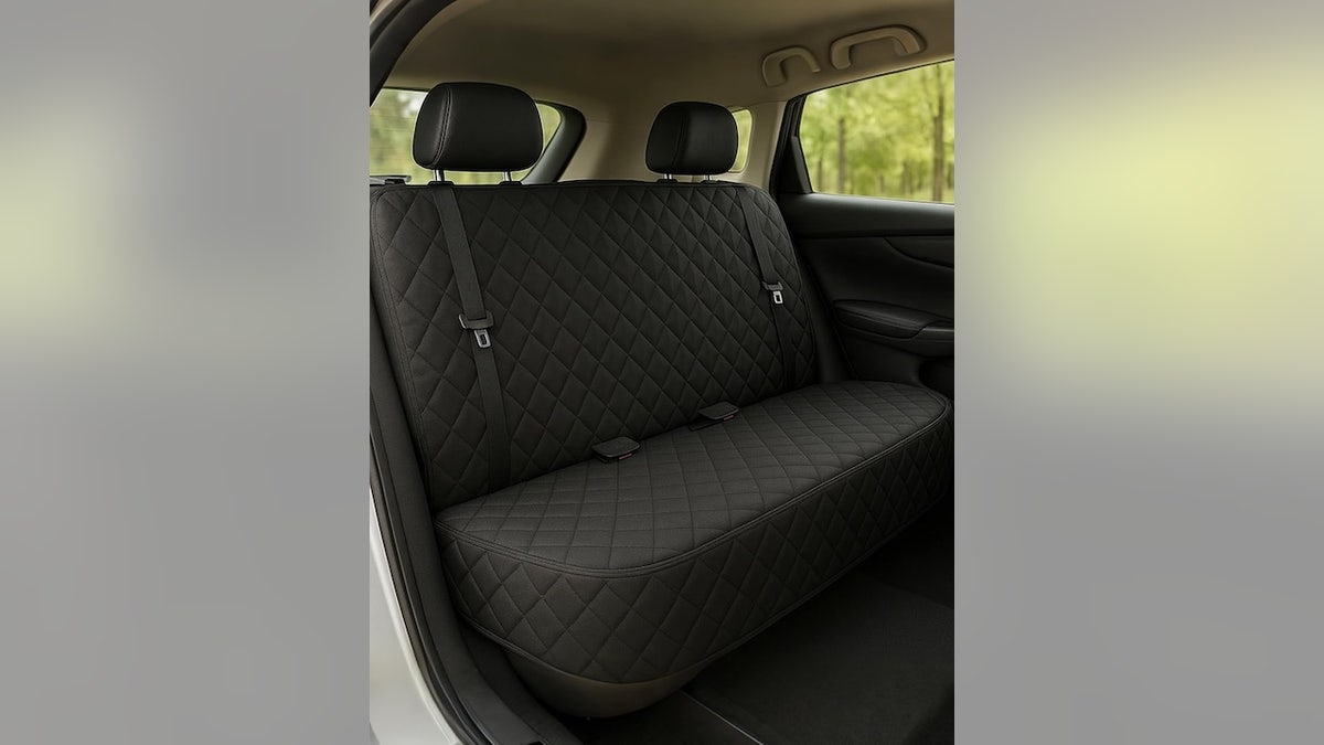 Melhor para: Donos de animais de estimação que viajam frequentemente com seus cães