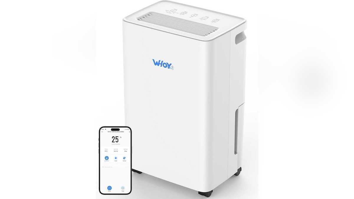 Set the 24-hour timer and only use this dehumidifier when you need it most. 
