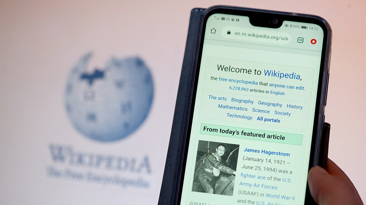 Wikipedia co-founder criticism