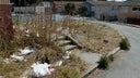 San Francisco streets getting dirtier, filled with more trash, feces, according to recent reports