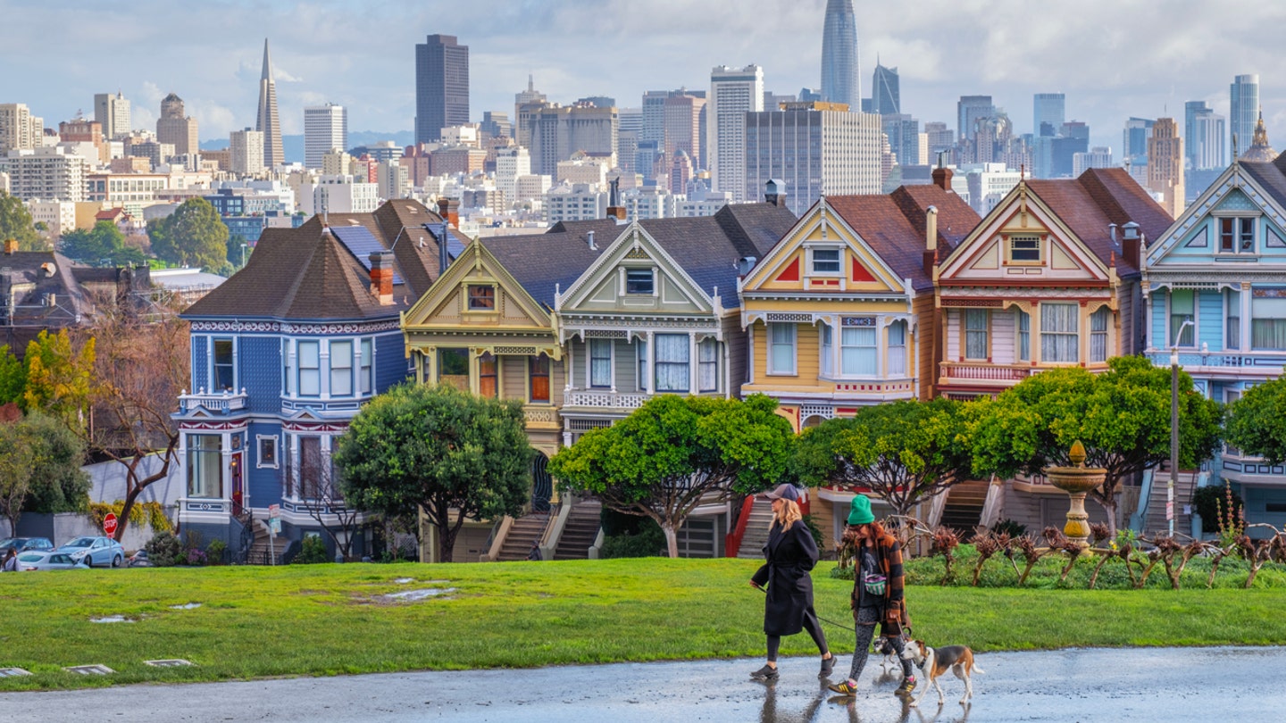 San Francisco residents lose persistence with badly behaved canines disrupting life San Francisco residents lose persistence with badly behaved canines disrupting life