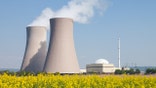 Nuclear power station with steaming cooling towers and blooming canola field.