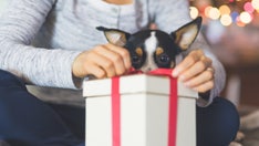 Practical gifts for dog lovers who are over the mess