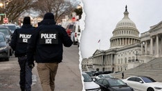ICE vows 'no change' to immigration, border policy amid government shutdown