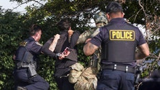 Over a dozen arrested at anti-ICE protests in Chicago suburb