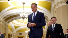 Thune torches Senate Dems for allowing 'far-left' lawmakers to hijack party after blocking crucial bill