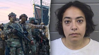 Professor slapped with felony charges amid ongoing leftist attacks on ICE facility - Fox News