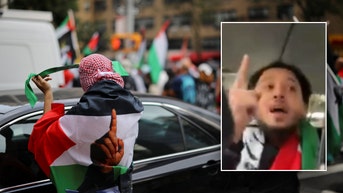 Anti-Israel agitator accused of violently attacking Jewish protesters learns his fate - Fox News