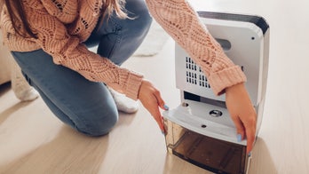 These best dehumidifier deals help fight moisture, mold and mildew