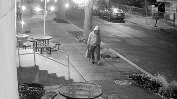 Fox News Politics Newsletter: Who is Brian Cole, the DC pipe bomb suspect?