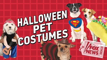 Yes, your dog needs a Halloween costume – here are 13 options