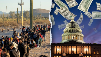 Democrats shut down government over healthcare for illegal immigrants, House GOP whip says