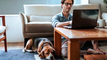 The best laptop deals from Apple, Lenovo and Dell – plus other tech deals worth checking out