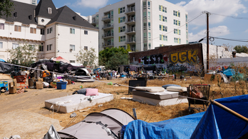 Los Angeles city council candidate pledges to live in trailer outside drug-infested park