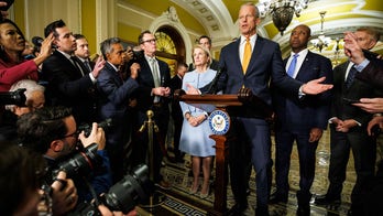 Thune, GOP reject pushing 'rifle-shot' government funding bills during shutdown