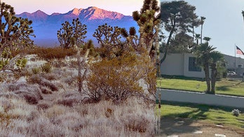 Investigation continues after hundreds of cremated human remains discovered, recovered from Nevada desert